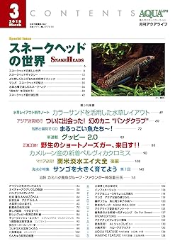 観世 2018年 03 月号 [雑誌] 観世 2018年 03 月号 [雑誌] 観世 2018年 03 月号 [雑誌] (shin